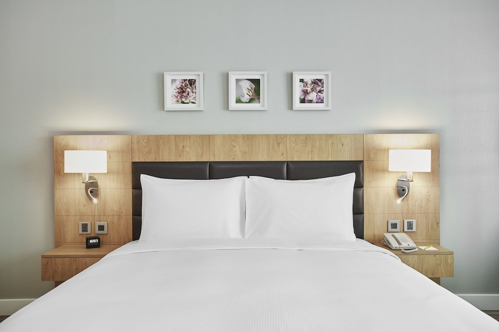 Room, 1 King Bed, Accessible photo 2