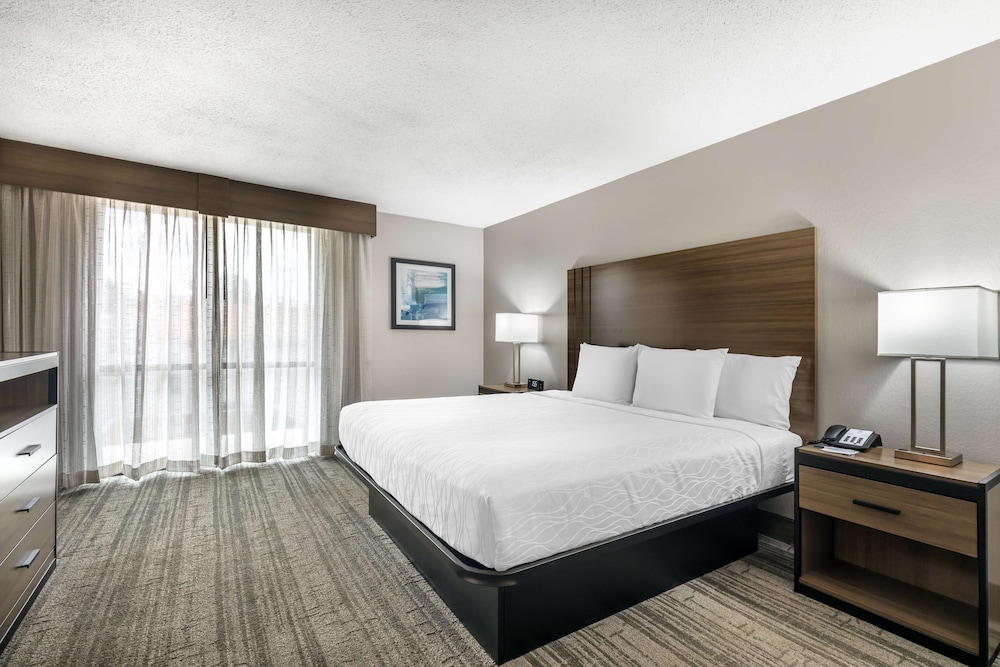 Suite, 1 King Bed, Non Smoking, Refrigerator & Microwave (with Single Sofabed) - Photo 2