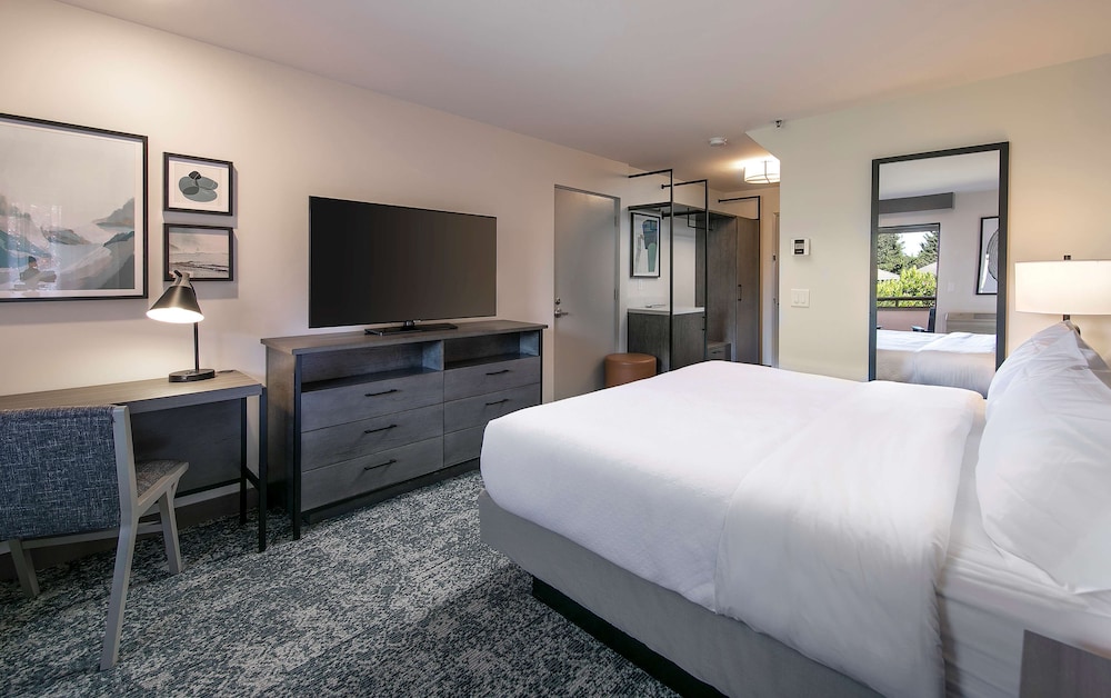 Room, 1 King Bed
