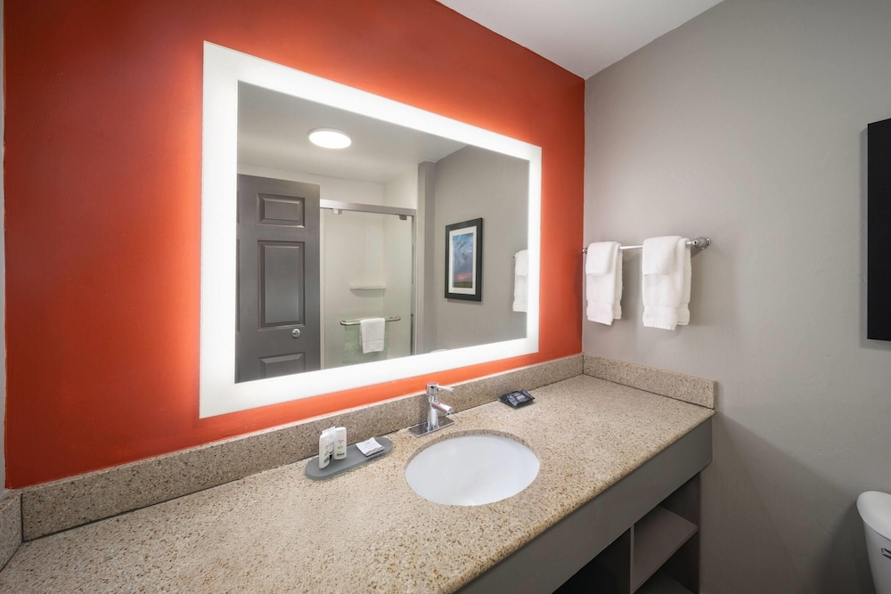 Deluxe Studio Suite, 1 King Bed, Non Smoking, Hot Tub - Photo 4