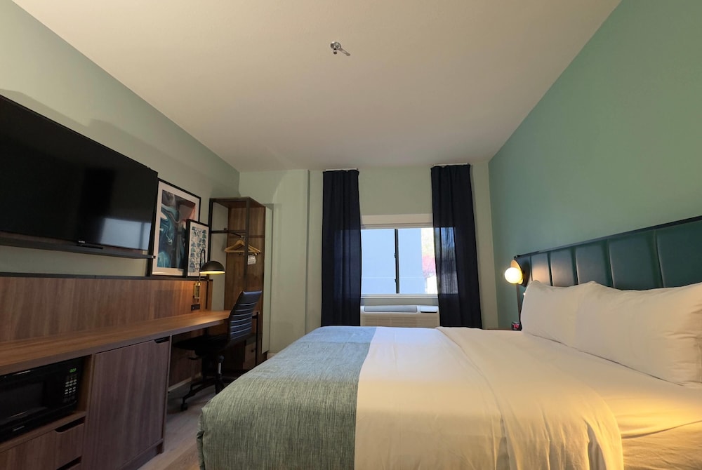 Room, 1 King Bed, Non Smoking - Photo 1