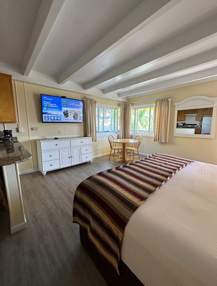 Suite, 1 King Bed (Ocean Side Mini 106)