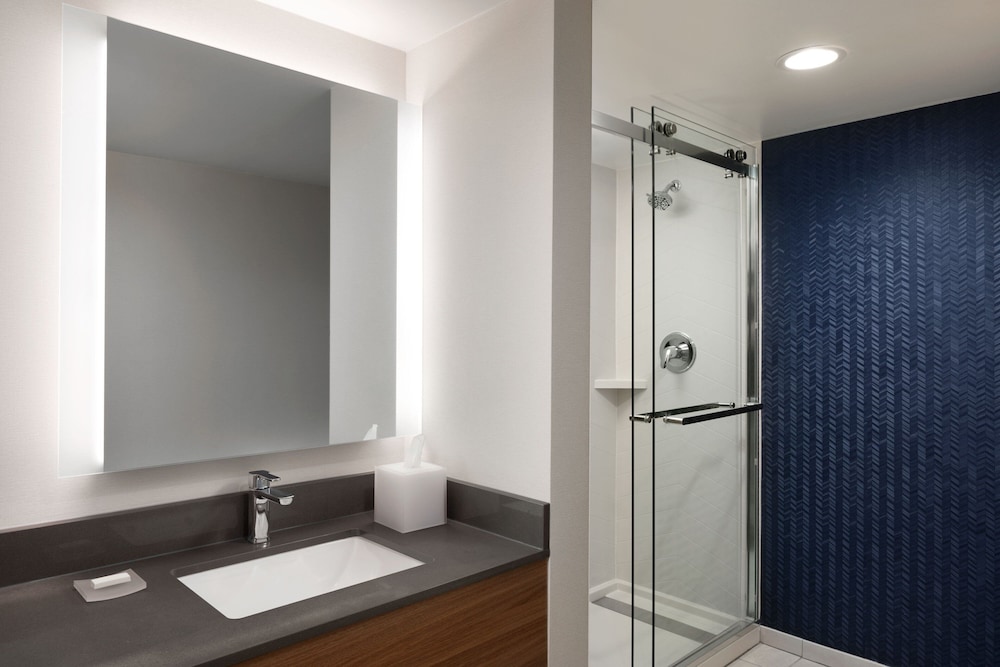 Room, 1 King Bed (Mobility Accessible, Roll-In Shower) - Photo 5
