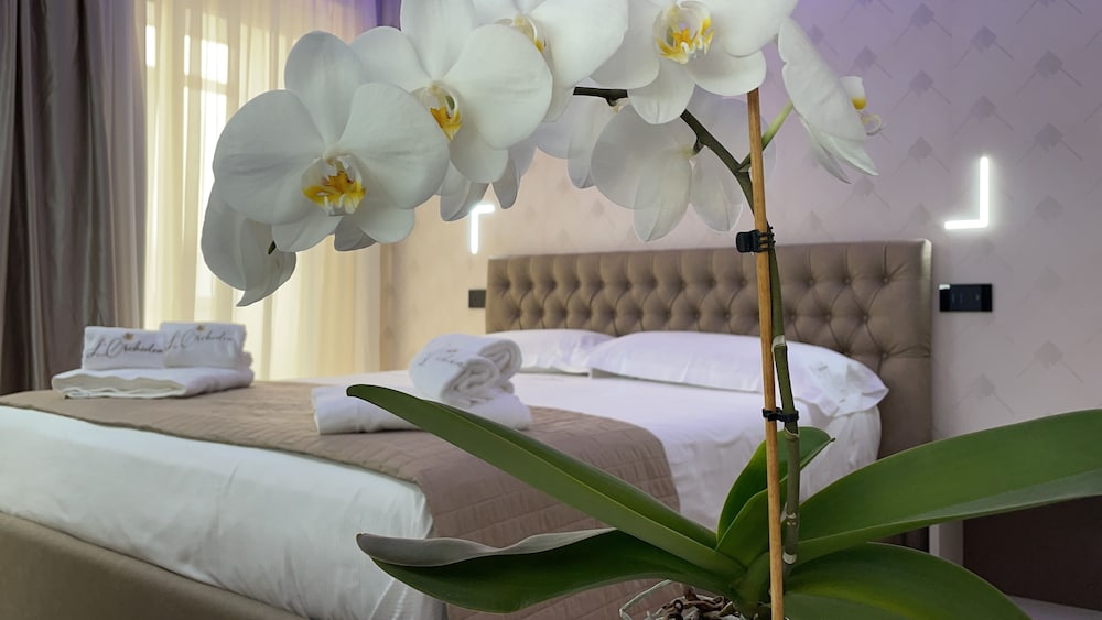 Luxury Room