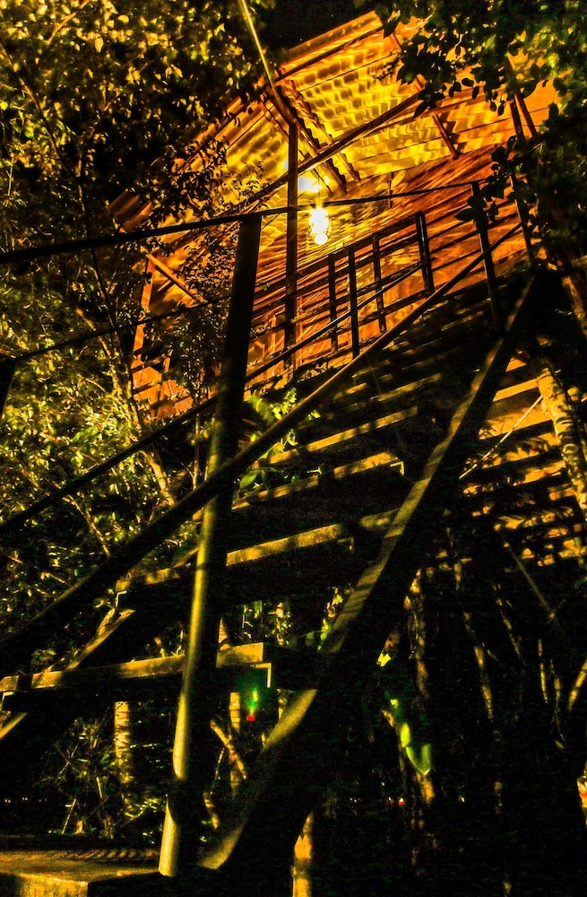 Standard Tree House photo 2
