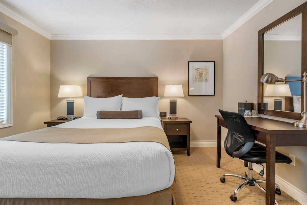 Executive Room, 1 Queen Bed photo 3
