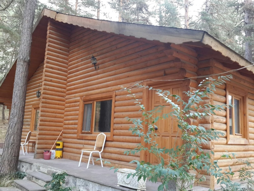 Elite Tree House photo 3