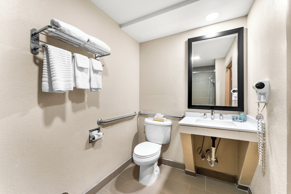 Standard Room, 1 King Bed, Accessible, Refrigerator & Microwave (with Sofabed) - Photo 4