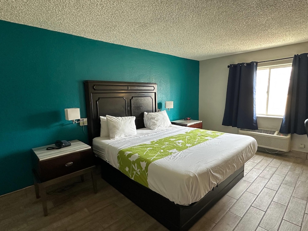 Standard Room, 1 King Bed, Non Smoking