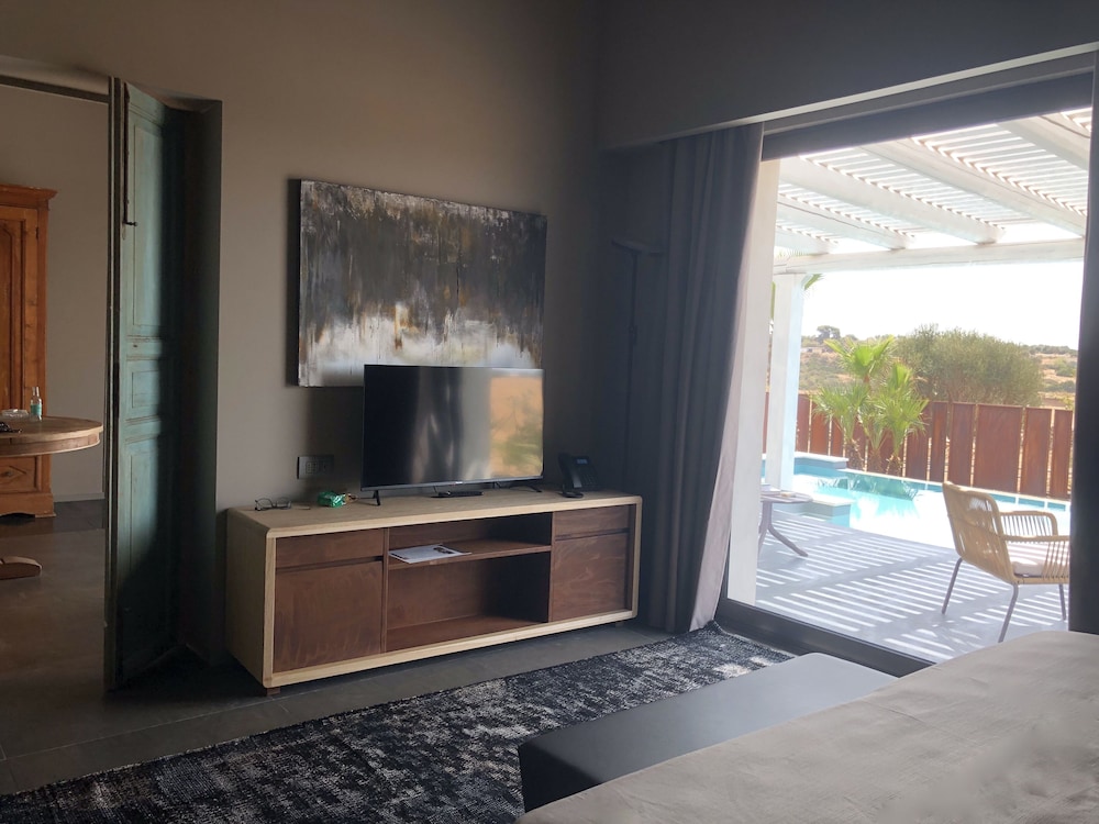 Luxury Villa photo 2
