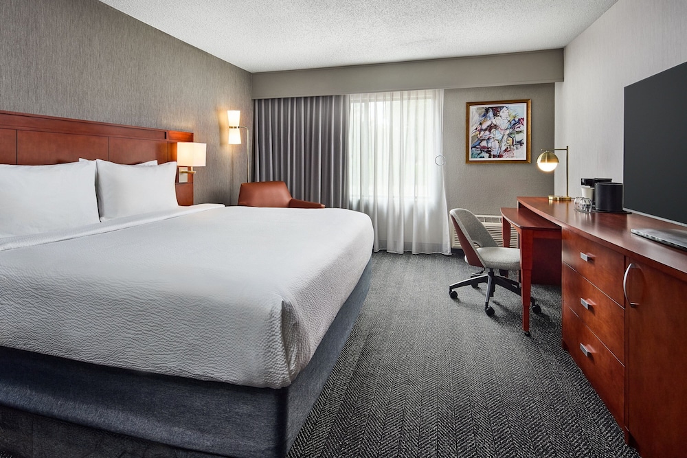 Room, 1 King Bed with Sofa bed