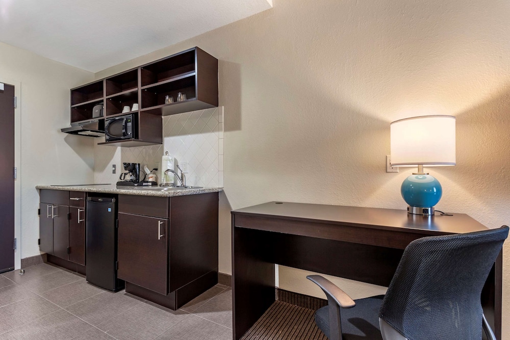 Suite, 1 King Bed with Sofa bed, Non Smoking (Efficiency) - Photo 5