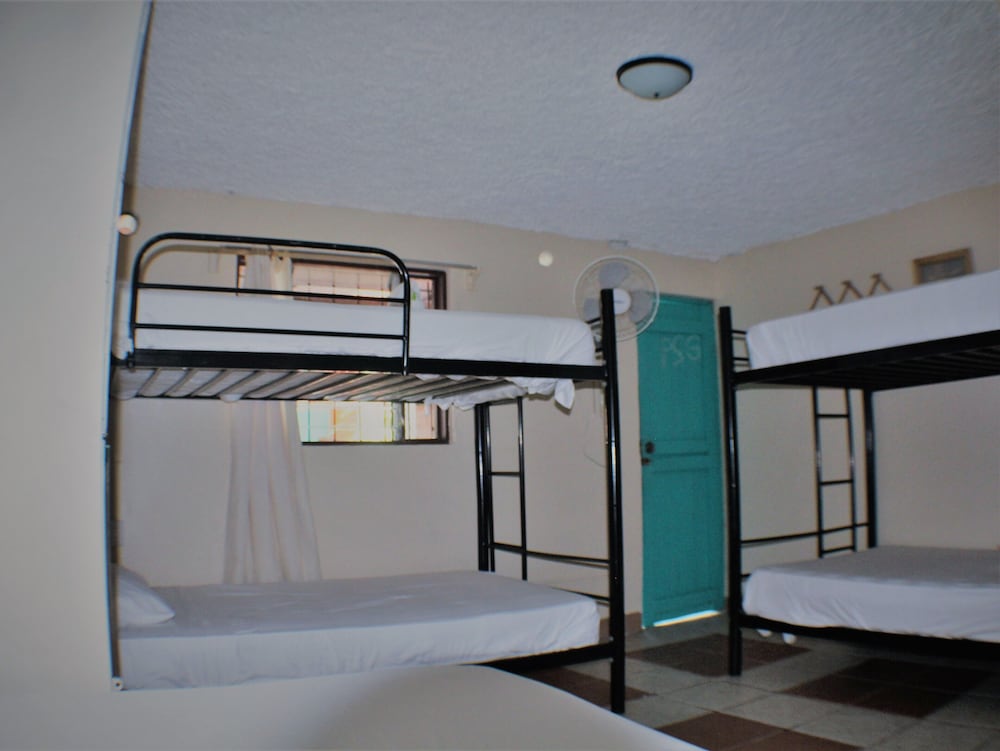 Basic Shared Dormitory, Mixed Dorm photo 2