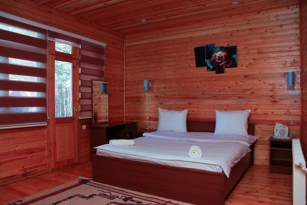 Standard Room, 1 Bedroom, Mountain View photo 3