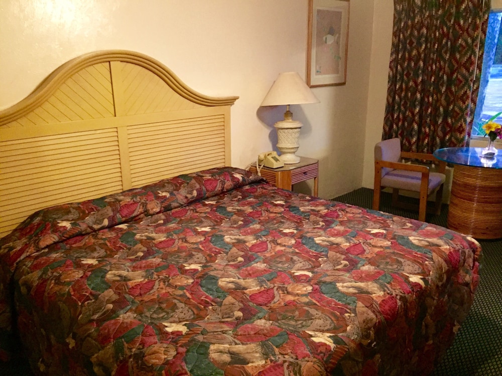 Standard Room, 1 King Bed, Non Smoking photo 2
