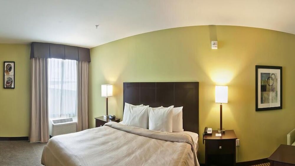 Studio Suite, 1 King Bed with Sofa bed, Non Smoking photo 2