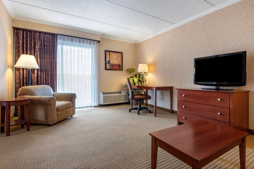 Suite, 1 King Bed, Refrigerator, River View (with Sofabed) photo 2
