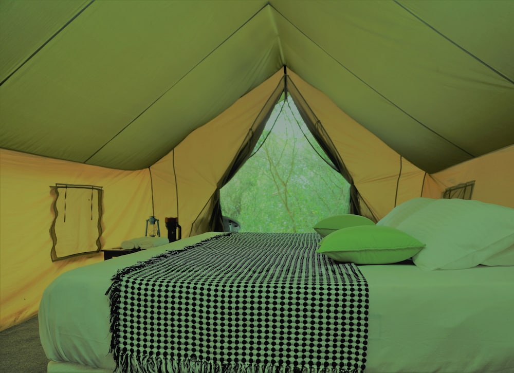 Tent, Accessible, Garden View photo 1