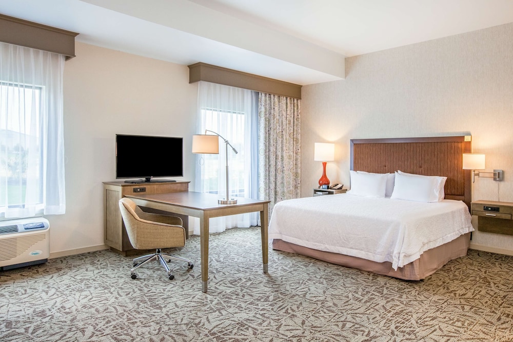 Studio, 1 King Bed, Non Smoking, Refrigerator & Microwave (Wet Bar) photo 1