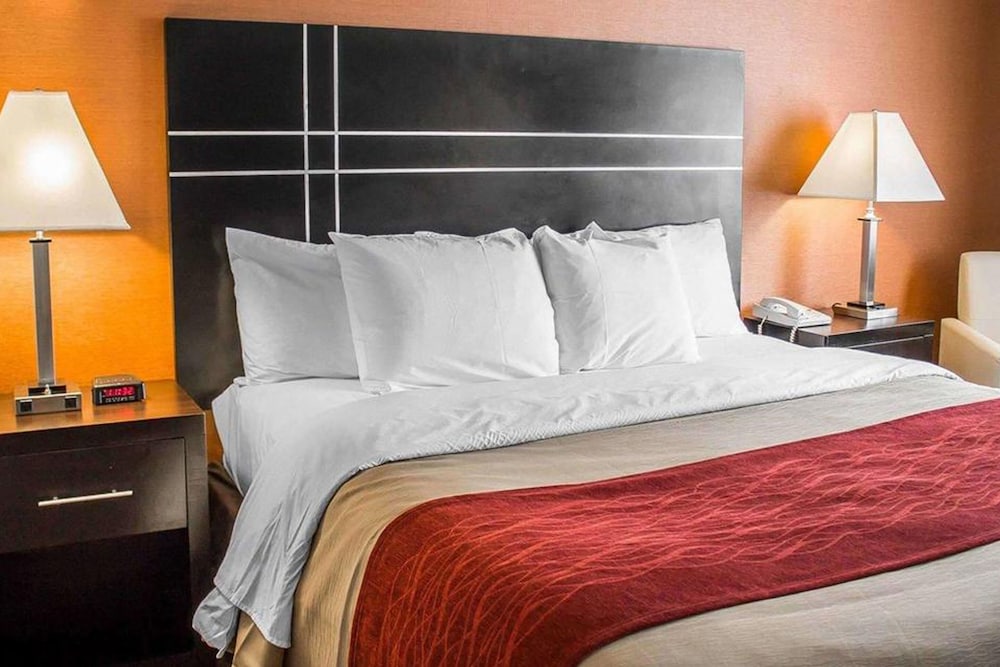 Standard 1 King Bed Non Smoking - Photo 4