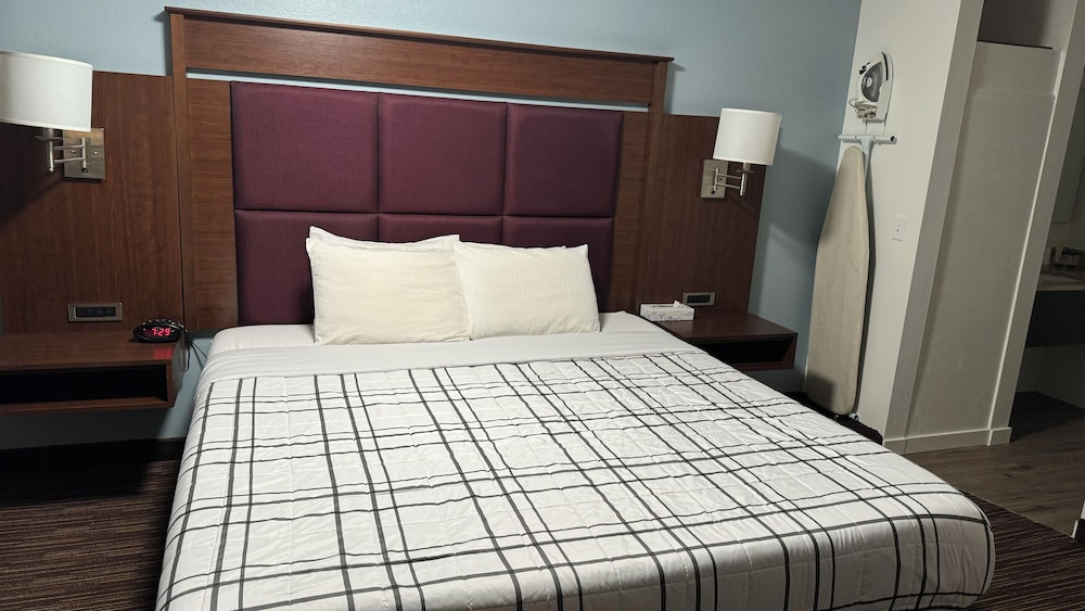 Standard Single Room, 1 King Bed - Photo 6