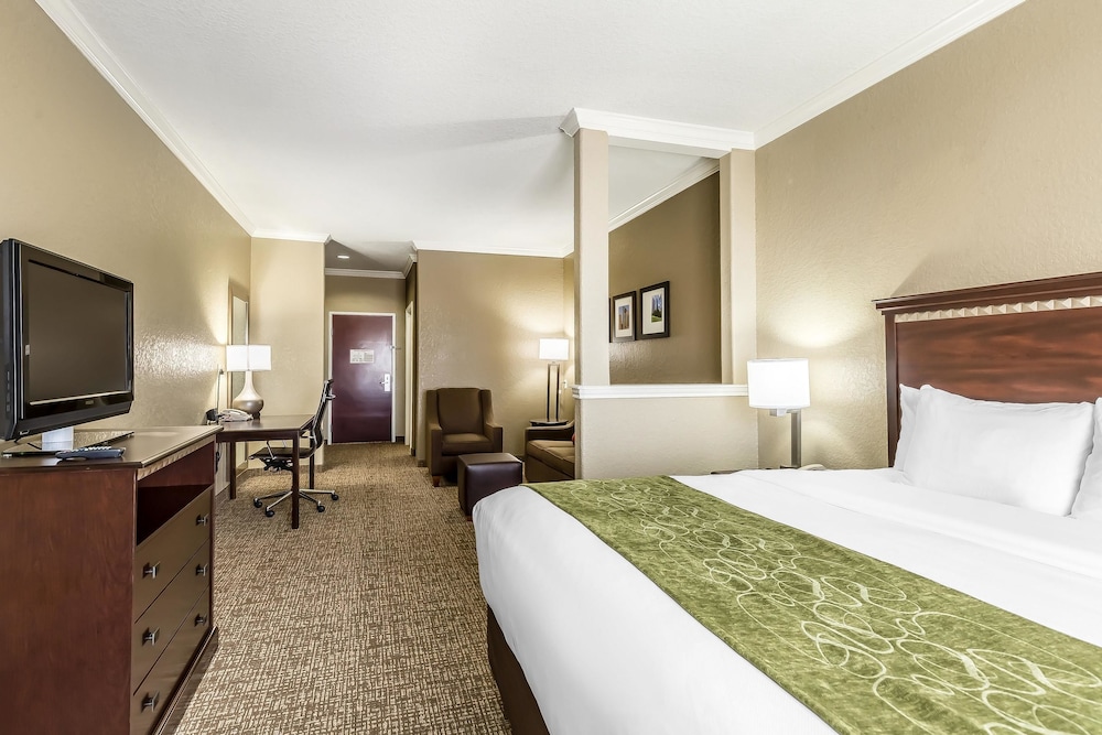 Efficiency, Suite, 1 King Bed, Non Smoking - Photo 7