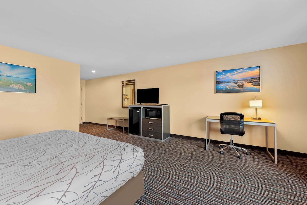 Standard Room, 1 King Bed, Non Smoking, Refrigerator & Microwave photo 2