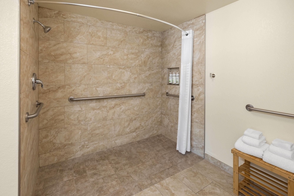 Room, 1 King Bed, Mobility Accessible, Non Smoking (Roll-in Shower) - Photo 2