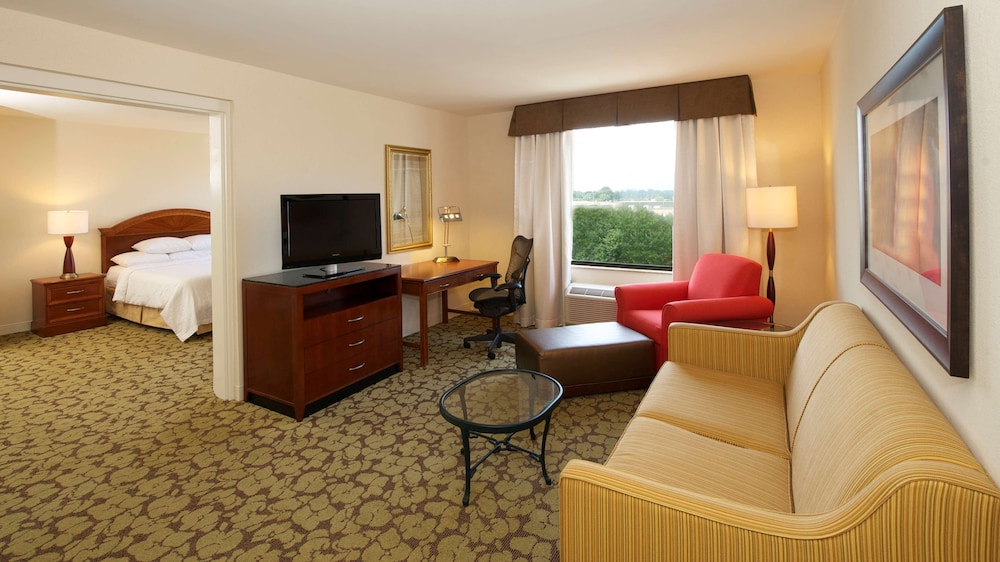 Suite, 1 Bedroom, Accessible (Mobility, Roll-in Shower) - Photo 3