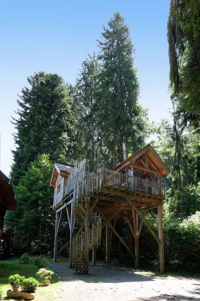 Luxury Tree House photo 2