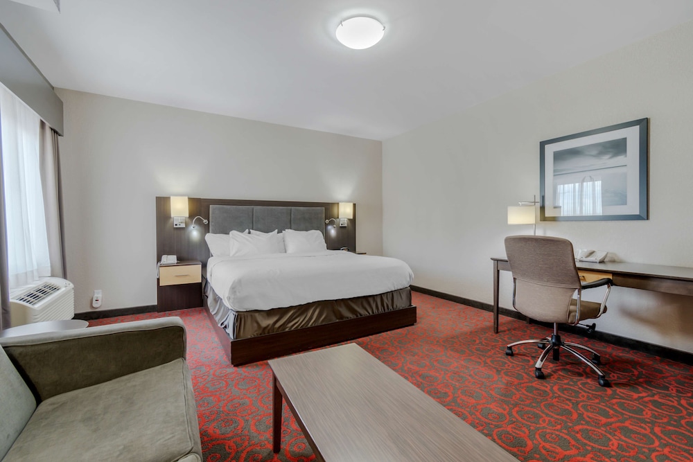 Standard Room, 1 King Bed, Non Smoking