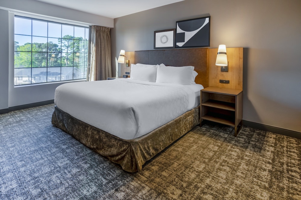 Studio Suite, 1 King Bed, Accessible, Kitchen (Accessible Tub) - Photo 4