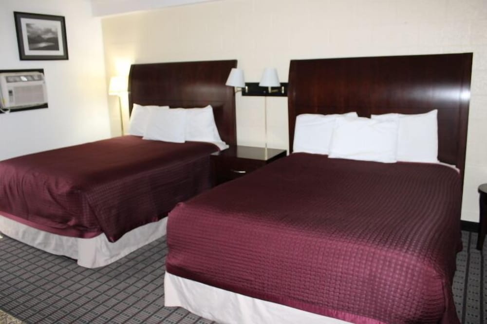 Standard Double Room, 2 Queen Beds photo 1