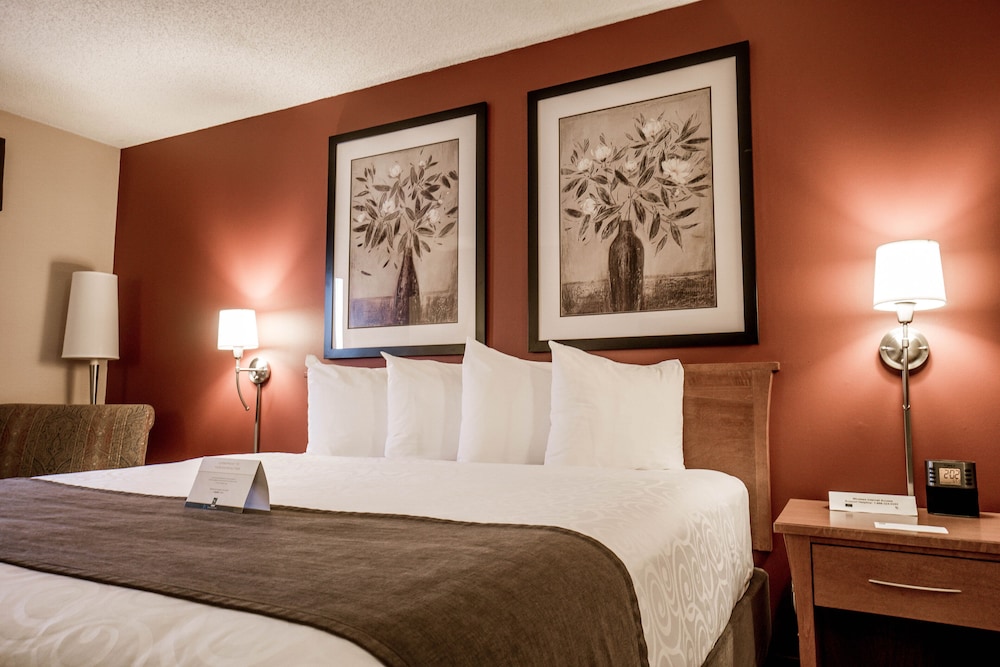Standard Room, 1 Queen Bed, Non Smoking (Not pet friendly) - Photo 4