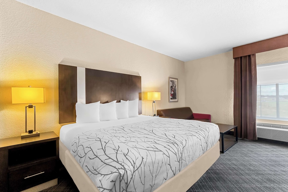 Standard Room, 1 King Bed, Non Smoking, Refrigerator & Microwave (with Sofabed) - Photo 2