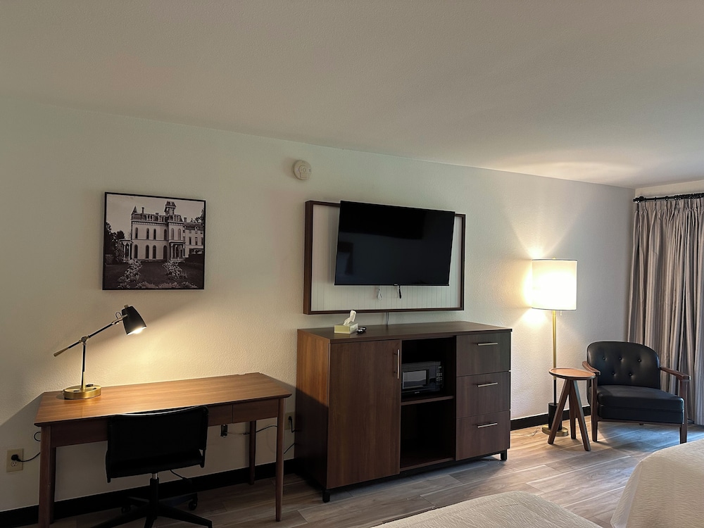 Premier Room 2 Double Beds photo 2