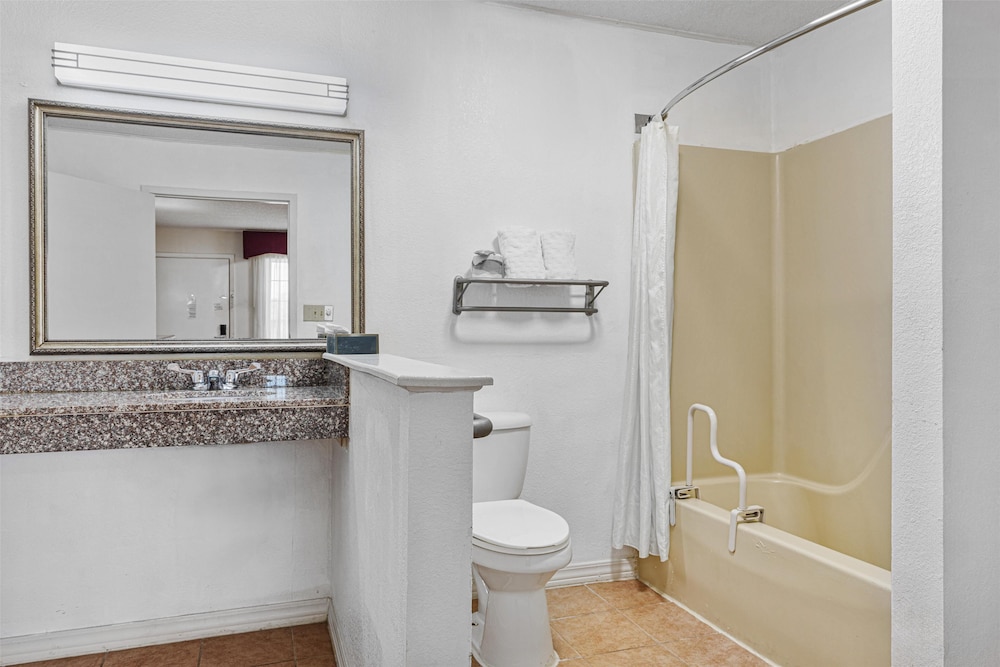 Standard Room, 1 Queen Bed, Accessible, Refrigerator & Microwave (with Single Sofabed) - Photo 4