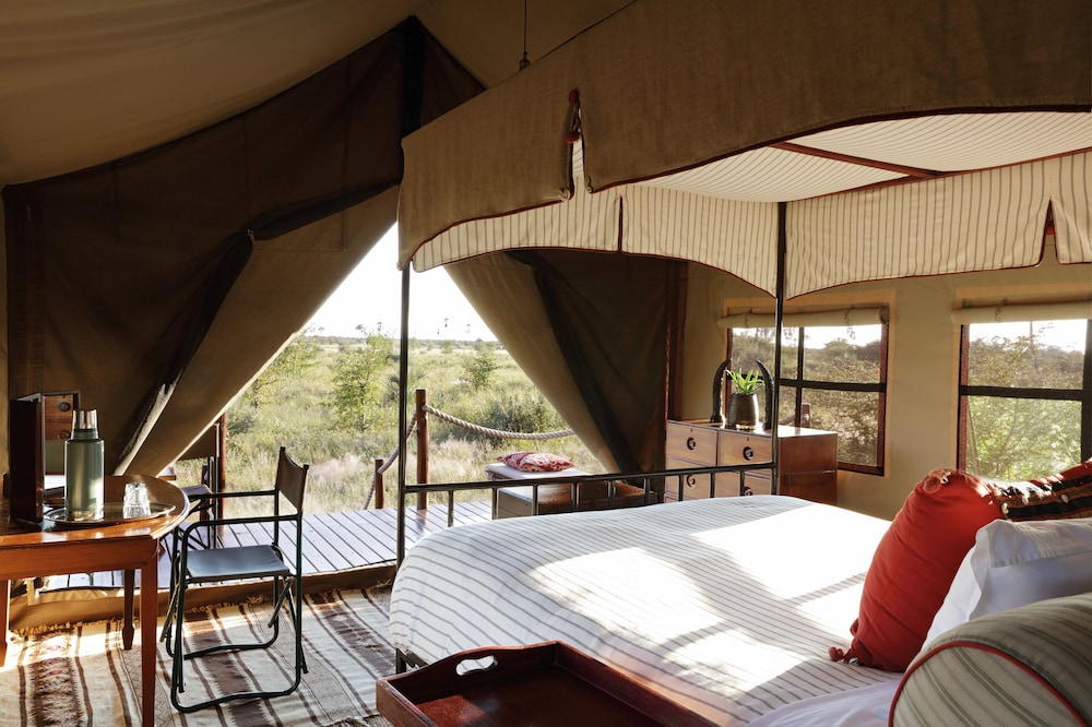 Basic Tent, Garden View photo 1