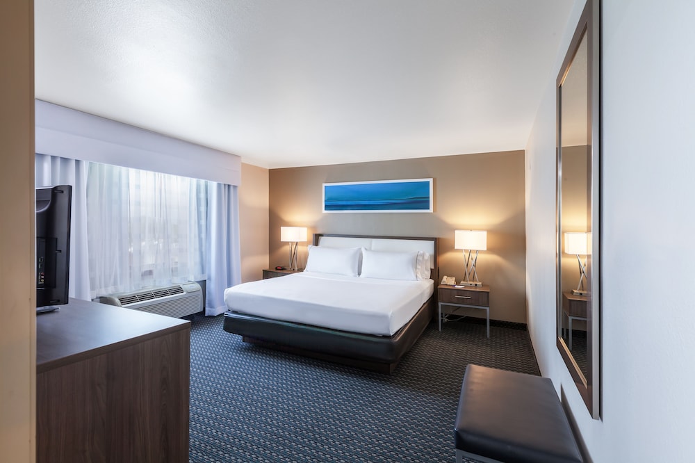 Suite, 1 Bedroom (1 King, Sofa Bed) - Photo 15