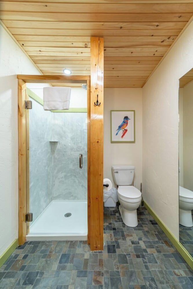 Luxury Single Room, City View photo 2