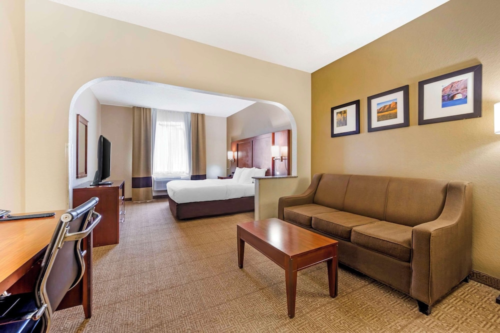 Suite, 1 King Bed with Sofa bed, Non Smoking (Pet Friendly) photo 2
