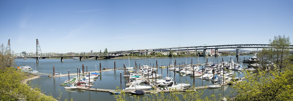 Suite (Columbia River)