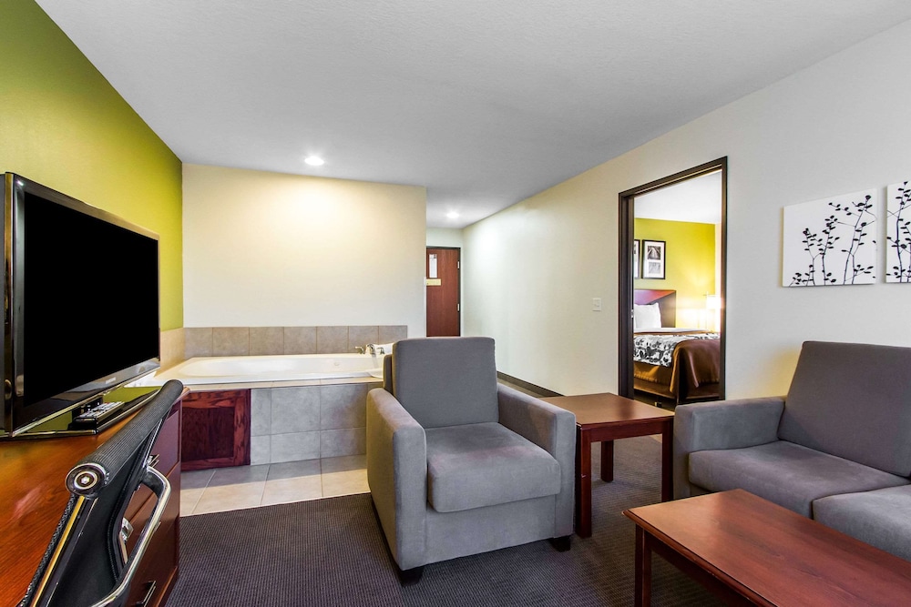 Suite, 1 King Bed with Sofa bed, Non Smoking - Photo 18