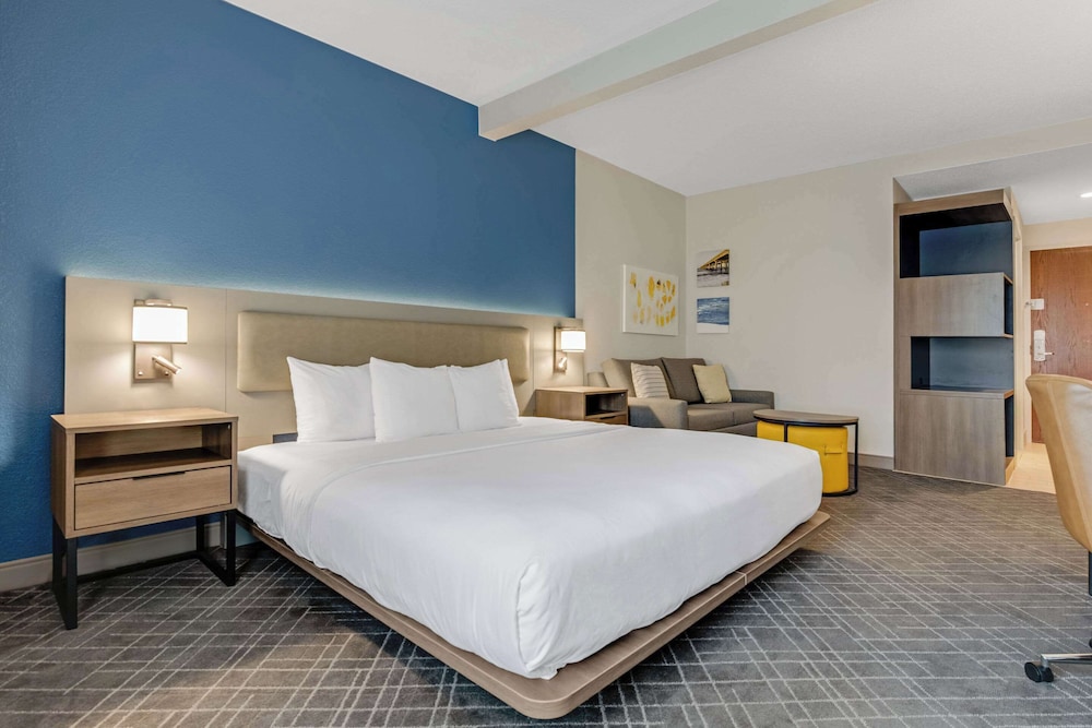 Suite, 1 King Bed with Sofa bed photo 2