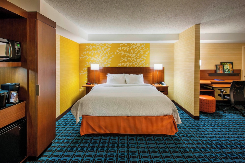 Suite, 1 King Bed with Sofa bed photo 3