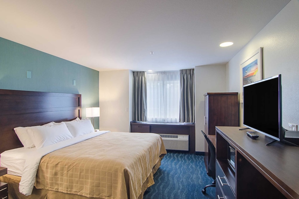 Standard Room, 1 King Bed, Non Smoking photo 3
