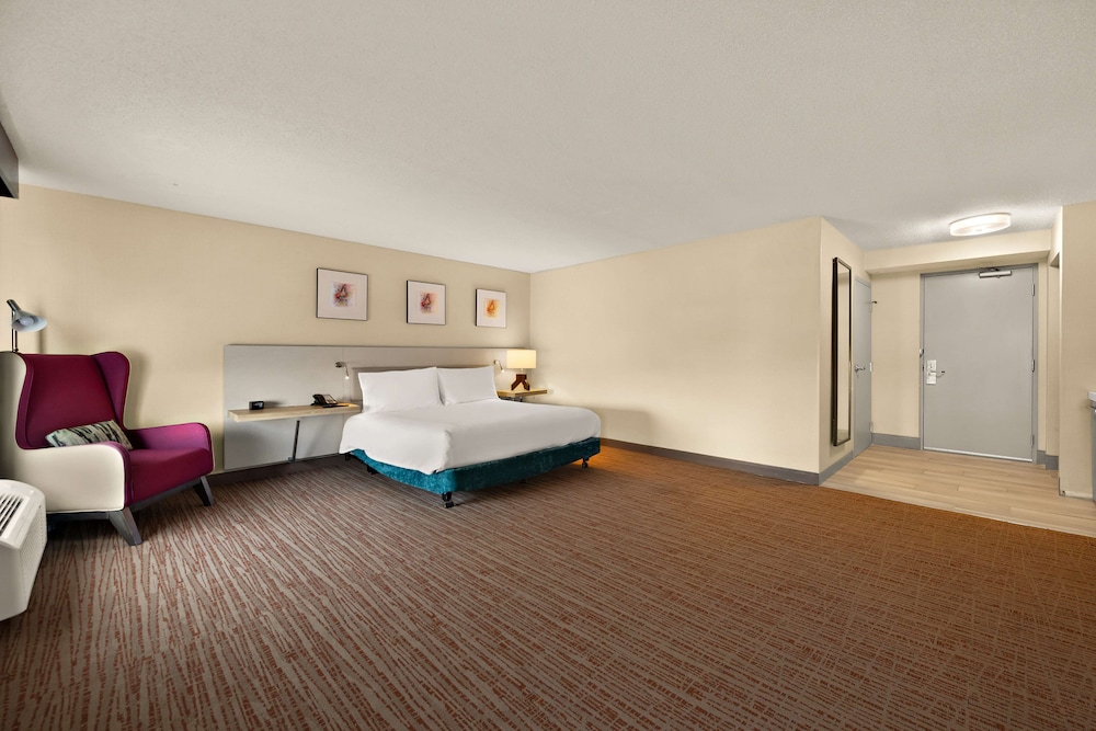 Standard Room, 1 King Bed, Accessible (Hearing Accessible with Bathtub) - Photo 1