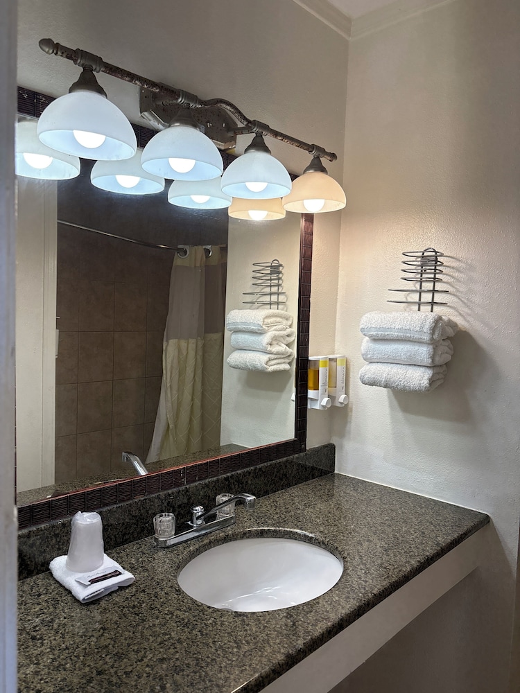 Deluxe Single Room photo 3