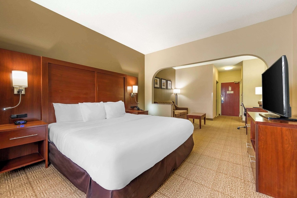 Suite, 1 King Bed with Sofa bed, Non Smoking (Pet Friendly) photo 1