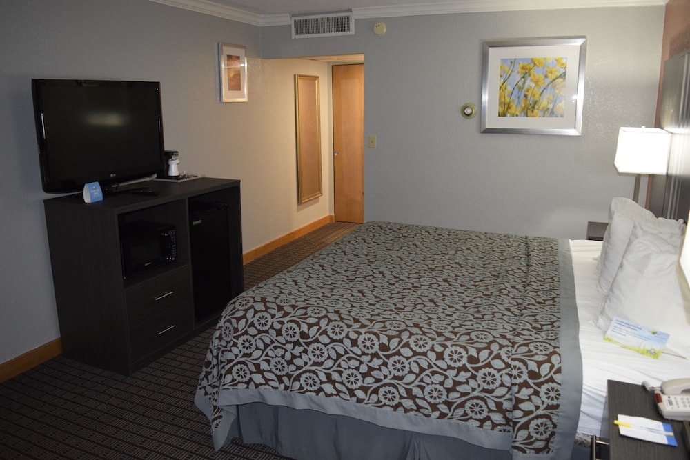 Studio Suite, 1 King Bed, Non Smoking, Pool View photo 3